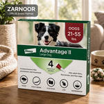 Advantage II Large Dog Flea Treatment (21-55 lbs, 4 Doses) + Pet Protect Digestive Health Chews (60 Count) Bundle